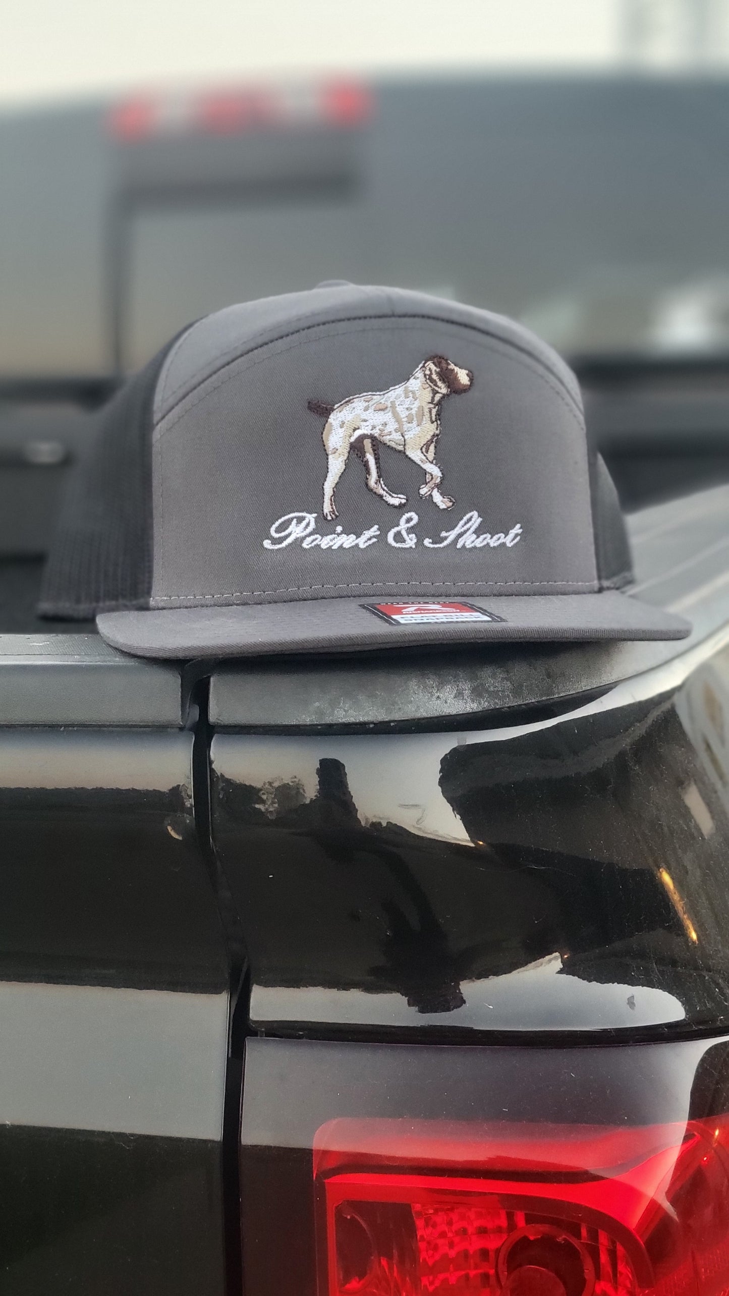 Pointer Hat Charcaol 7 Panel